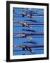 Female Swimmers at the Start of a Race-null-Framed Photographic Print