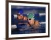 Female Swimmers Competing in a Breaststroke Race-null-Framed Photographic Print