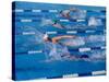 Female Swimmers Competing in a Freestyle Race-null-Stretched Canvas