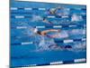 Female Swimmers Competing in a Freestyle Race-null-Mounted Photographic Print