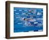 Female Swimmers Competing in a Freestyle Race-null-Framed Photographic Print