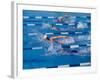 Female Swimmers Competing in a Freestyle Race-null-Framed Photographic Print
