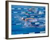 Female Swimmers Competing in a Freestyle Race-null-Framed Photographic Print