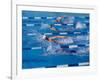 Female Swimmers Competing in a Freestyle Race-null-Framed Photographic Print