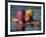 Female Swimmers Reacts to Victory-null-Framed Photographic Print