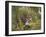 Female Tiger, with Four-Month-Old Cub, Bandhavgarh National Park, India-Tony Heald-Framed Premium Photographic Print