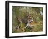 Female Tiger, with Four-Month-Old Cub, Bandhavgarh National Park, India-Tony Heald-Framed Premium Photographic Print