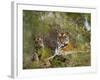 Female Tiger, with Four-Month-Old Cub, Bandhavgarh National Park, India-Tony Heald-Framed Photographic Print