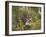 Female Tiger, with Four-Month-Old Cub, Bandhavgarh National Park, India-Tony Heald-Framed Photographic Print