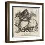 Female Type, Cov Garden-Harry Furniss-Framed Art Print