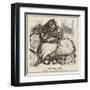 Female Type, Cov Garden-Harry Furniss-Framed Art Print