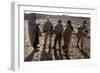 Female U.S. Marines on Patrol, with a Local Afghan Man in Helmand Province, 2010-null-Framed Photo