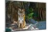 Female Wild Tiger From Thailand-sasilsolutions-Mounted Photographic Print