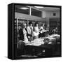 Female Workers in the Filing and Postal Room, Stanley Tools Works, Sheffield, South Yorkshire, 1967-Michael Walters-Framed Stretched Canvas