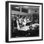 Female Workers in the Filing and Postal Room, Stanley Tools Works, Sheffield, South Yorkshire, 1967-Michael Walters-Framed Photographic Print