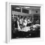 Female Workers in the Filing and Postal Room, Stanley Tools Works, Sheffield, South Yorkshire, 1967-Michael Walters-Framed Photographic Print