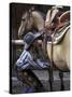 Female Wrangler Saddles Horse at Boulder River Ranch, Montana, USA-Jamie & Judy Wild-Stretched Canvas