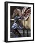 Female Wrangler Saddles Horse at Boulder River Ranch, Montana, USA-Jamie & Judy Wild-Framed Photographic Print