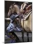 Female Wrangler Saddles Horse at Boulder River Ranch, Montana, USA-Jamie & Judy Wild-Mounted Photographic Print