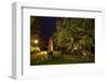 Femeiche' the Court Tree at Night-Solvin Zankl-Framed Photographic Print