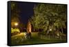 Femeiche' the Court Tree at Night-Solvin Zankl-Framed Stretched Canvas