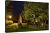 Femeiche' the Court Tree at Night-Solvin Zankl-Stretched Canvas