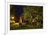 Femeiche' the Court Tree at Night-Solvin Zankl-Framed Photographic Print