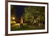 Femeiche' the Court Tree at Night-Solvin Zankl-Framed Photographic Print