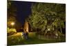 Femeiche' the Court Tree at Night-Solvin Zankl-Mounted Photographic Print