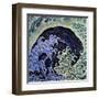 Feminine Wave (detail)-Katsushika Hokusai-Framed Art Print