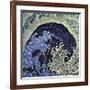 Feminine Wave (detail)-Katsushika Hokusai-Framed Giclee Print