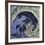 Feminine Wave (detail)-Katsushika Hokusai-Framed Giclee Print