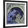 Feminine Wave (detail)-Katsushika Hokusai-Framed Giclee Print