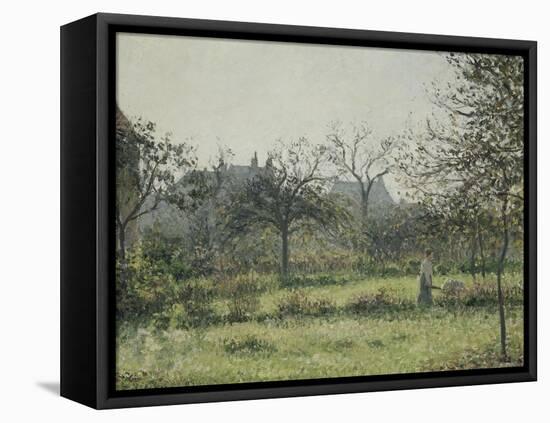 Femme dans un verger, matinée d'automne, jardin d'Eragny-Camille Pissarro-Framed Stretched Canvas