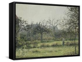 Femme dans un verger, matinée d'automne, jardin d'Eragny-Camille Pissarro-Framed Stretched Canvas