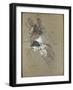 Femme de profil (madame Lucy)-Henri de Toulouse-Lautrec-Framed Giclee Print