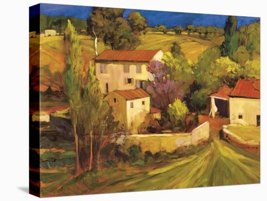 Femme en Provence-Philip Craig-Stretched Canvas