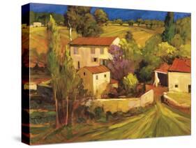 Femme en Provence-Philip Craig-Stretched Canvas