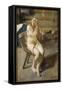 Femme nue se coiffant-Anders Leonard Zorn-Framed Stretched Canvas