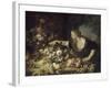 Femme prenant des fruits-Pier Francesco Mola-Framed Giclee Print