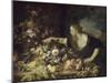 Femme prenant des fruits-Pier Francesco Mola-Mounted Giclee Print