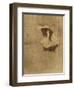 Femme Qui Se Peigne - La Coiffure, Plate VII from Elles-Henri de Toulouse-Lautrec-Framed Giclee Print