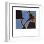 Femmes, Oiseau, 1973-Joan Miro-Framed Giclee Print