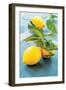 Femminello Lemon of Gargano Igp-null-Framed Photographic Print