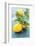 Femminello Lemon of Gargano Igp-null-Framed Photographic Print