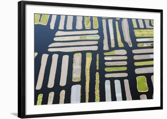 Fen I-Peter Adams-Framed Giclee Print