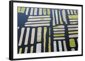 Fen I-Peter Adams-Framed Giclee Print