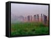 Fence Across Foggy Meadow, Cades Cove, Great Smoky Mountains National Park, Tennessee, USA-Adam Jones-Framed Stretched Canvas