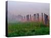 Fence Across Foggy Meadow, Cades Cove, Great Smoky Mountains National Park, Tennessee, USA-Adam Jones-Stretched Canvas