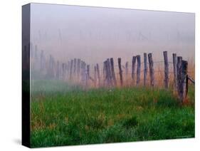 Fence Across Foggy Meadow, Cades Cove, Great Smoky Mountains National Park, Tennessee, USA-Adam Jones-Stretched Canvas
